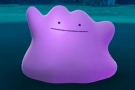 Ditto art