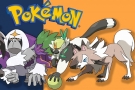 passimian-banner.jpg