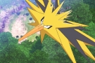 zapdos.jpg