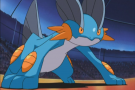 swampert.png