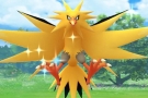 zapdos.jpg