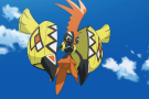 tapu koko