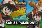 Přehled Pokémon TCG heren a klubů
