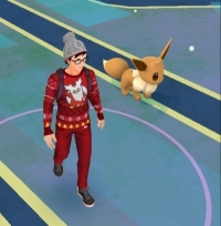 Jak vypadá nový Buddy systém v Pokemon GO