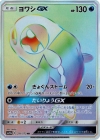 Pokémon Wishiwashi Rainbow