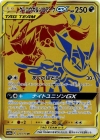 Pokémon Zoroark Greninja Tag Team Golden